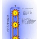 단전호흡 - 인체자석의 원리 이미지