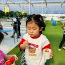 예솔농장 이미지