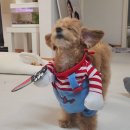 재순농장 이미지