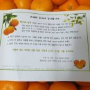 탁이농장 네이버블로그