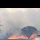 바다텃밭 Lab 이미지