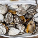 벌교맛집 찾는다면 꼭 가봐야 할 장도웰빙꼬막정식 내돈내산 후기