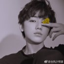 어바웃팬 이미지