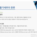 휴먼바이오주 네이버블로그