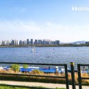 테크노 꽃나라 | 한강공원 자전거 타기, 자전거 코스(압구정-반포-잠수교-성수 구름다리-뚝섬-잠실대교-잠실철교-잠실...