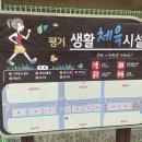 평거지구 생활체육시설 테니스장 | 평거생활체육시설 테니스장 이용후기 🏸 대만족🫶🏻