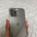 마론애견 이미지