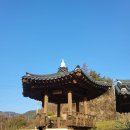 용수길(도산면) | 문화충전 가을여행_퇴계이황 귀향길 체험연수 후기_용수사->노송정