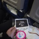 선지정food | <태교 여행 추천> 필리핀 보홀 태교 여행 Day1, Day2