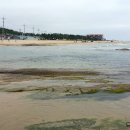 송지호 해수욕장 이미지