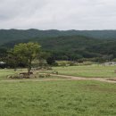 메밀꽃필무렵 이미지