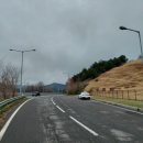 장승리 고분군 이미지