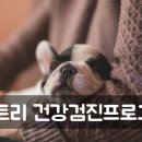 펫트리동물의료센터 이미지