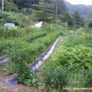 수주농원 이미지