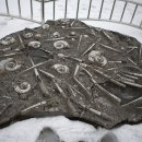 지질박물관 이미지