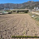 아리랑공인중개사무소 이미지