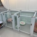 몽 그루밍 이미지