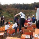 장준농장 이미지