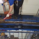 주식회사 부산오토 이미지