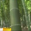 신비로-11 이미지