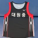 미즈노전주 이미지