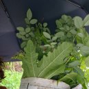 아름카센타 이미지