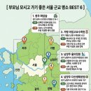 다이소양평양수리점 | 5월 어버이날 나들이 추천 🌷 부모님 모시고 가기 좋은 서울 근교 명소 6곳 (주차/무릎/동선 완벽 비교)