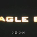 이글 아이(EAGLE EYE) 이미지