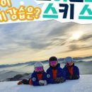 휘닉스파크 렌탈샵 조이몬스터 이미지