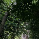 송천마을회관 이미지