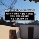 메종드시고르 이미지