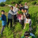 너브내마을밥상 이미지