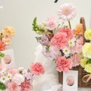 플로피아 이미지