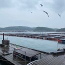 순정좌대 이미지