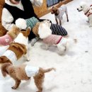 개스트룸 이미지