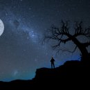 반짝반짝 레진아트1 이미지