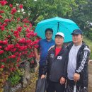 동림카센타 이미지