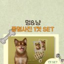 멍&냥 이미지