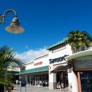 다시오리 이미지