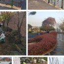 판석농장 이미지