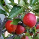 상산농장 이미지