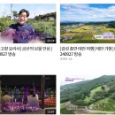 덕산면전통시장 이미지