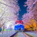 로망스모텔 이미지