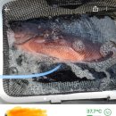 싱싱한마켓 네이버블로그