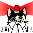 포석닭볶음탕 네이버블로그