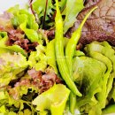 그대스테이 이미지