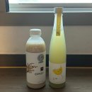(주)엑스포디자인 | 막걸리 엑스포 막스포 다녀왔습니다🍶 | 막스포 2026 후기