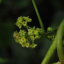 하예동-14 이미지