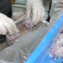 영동중앙시장 이미지