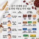 한솔약국 | 약국에서 살 수 있는 한방 감기 상비약 가이드 - 감기 단계별 정리